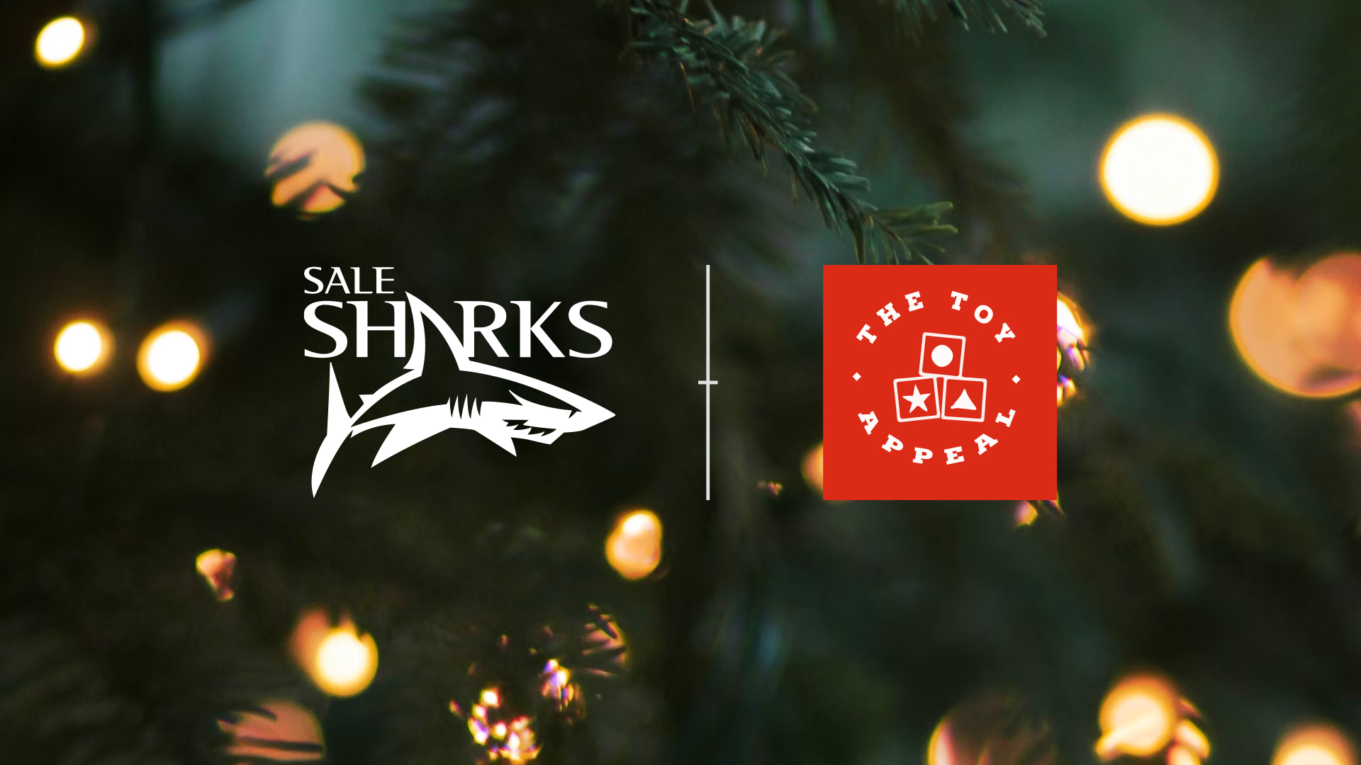 Sharks Support Christmas Toy Appeal Sale Sharks