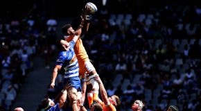 Sharks PUT TO SWORD by relentless Stormers